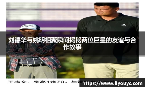 刘德华与姚明相聚瞬间揭秘两位巨星的友谊与合作故事