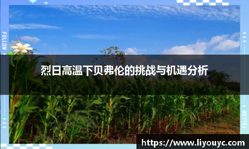 雷竞技raybet平台